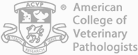 American_College_of_Veterinary_Pathologists