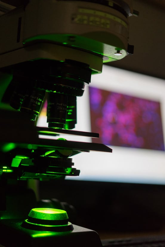 Who Needs High Quality Whole Microscope Slide Scanning?