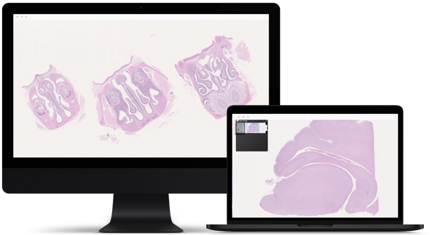 Whole Slide Scanning