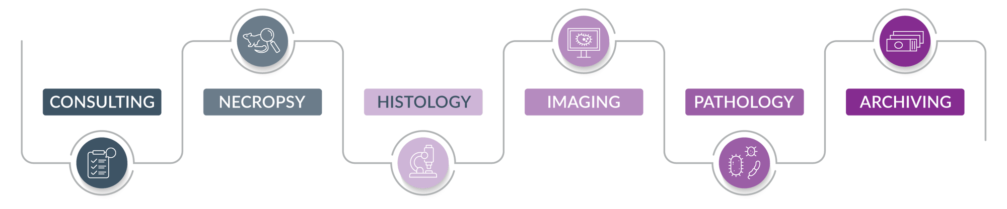 StageBio Service Pathway 07.25.25