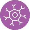StageBio Service Icons_Nervous System