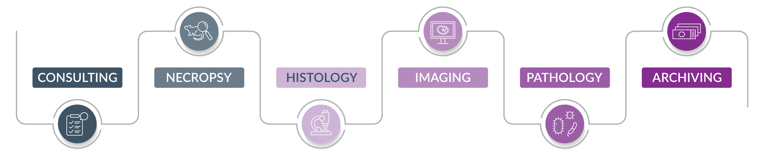 StageBio Service Pathway 07.25.25