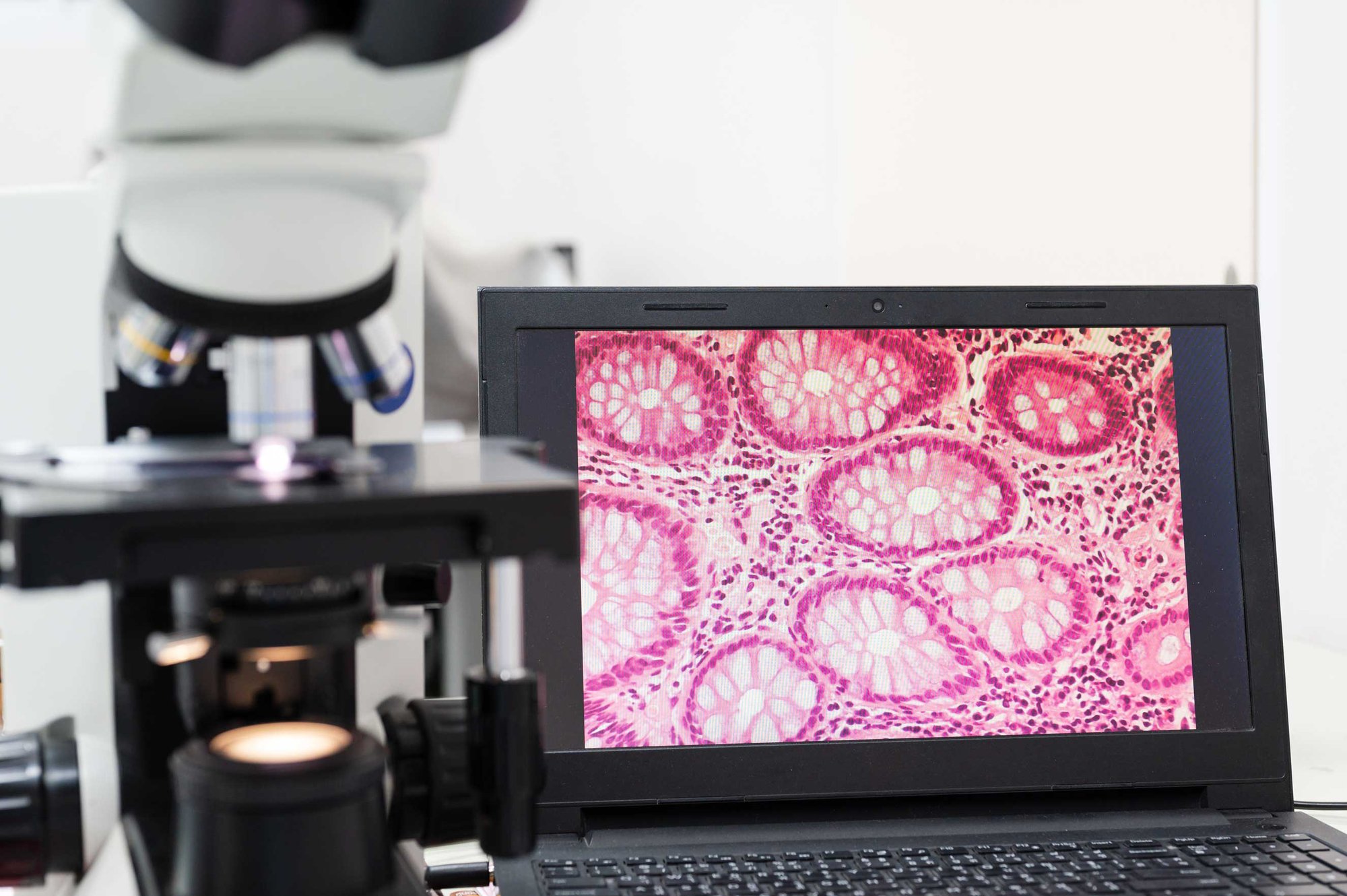 AdobeStock_332196788