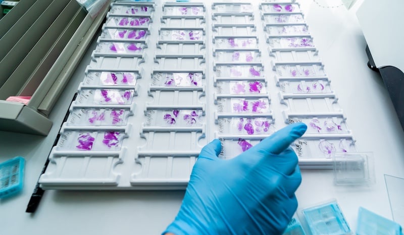 StageBio Website - Services_IHC Page_IHC