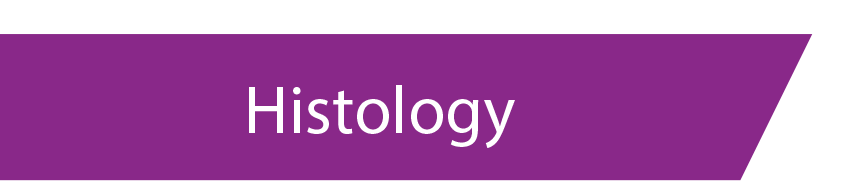 services_histology
