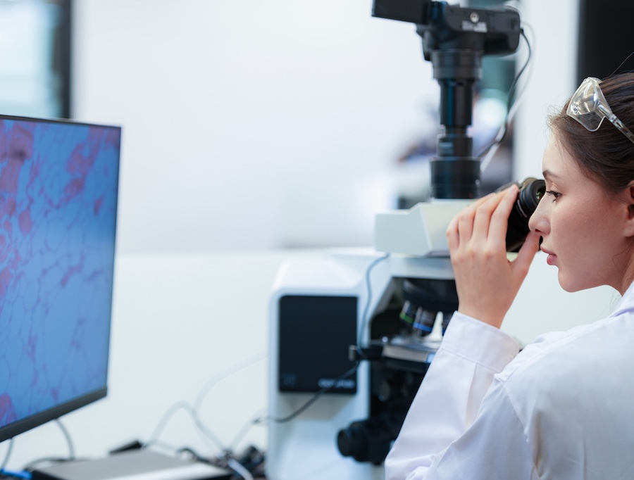 StageBio Locations - Freiburg Germany_Why Choose Freiburg