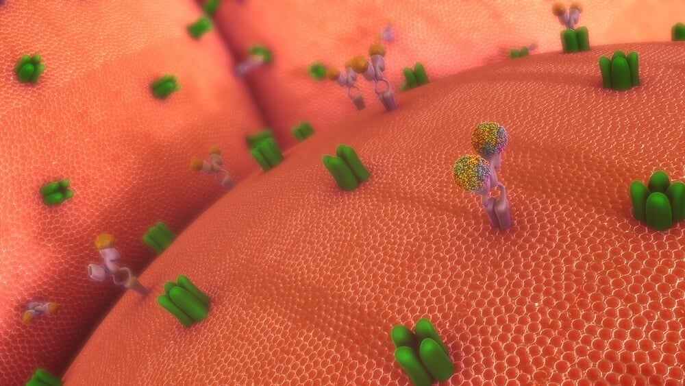 StageBio Services - TCR_Cell receptors StageBio Services - TCR_Cell receptors