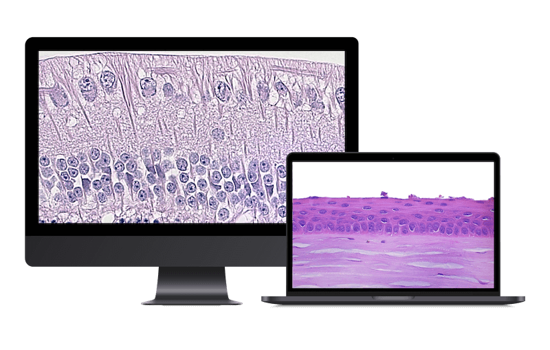 StageBio Services_Ocular 1 StageBio Services_Ocular 1